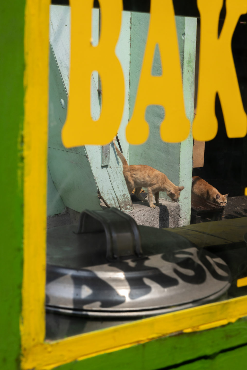 Yellow BAKSO lettering on a green frame, two ginger cats behind the glass.