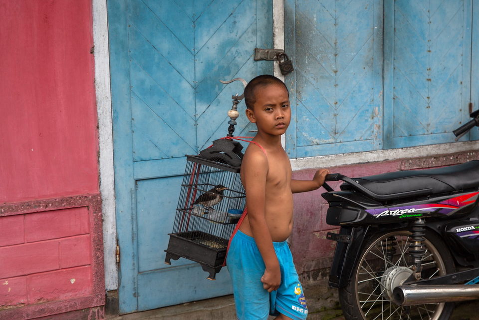 A boy stands beside a caged bird and a motorbike in a blue-painted doorway.