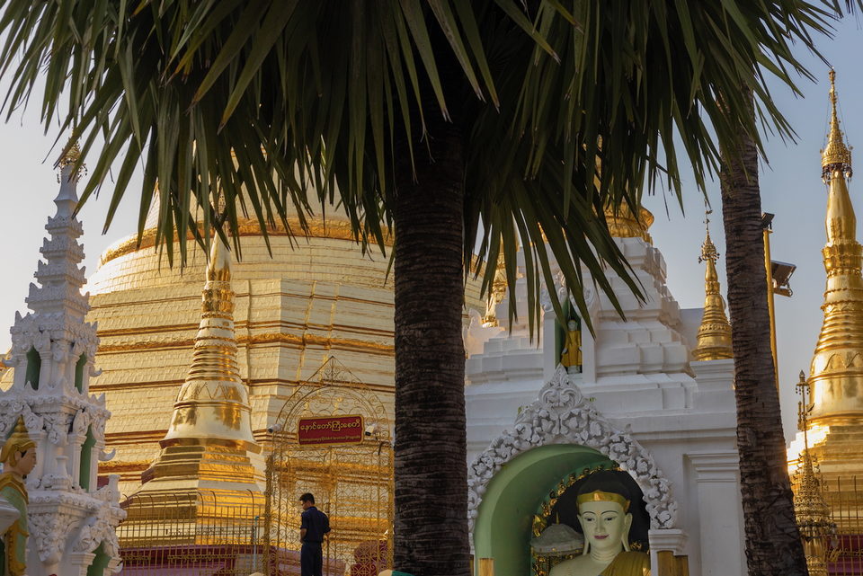 Gilded and whitewashed stupas rise behind the trunk and fronds of a palm.