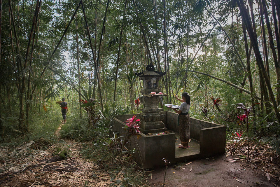 A woman tends a shrine in a bamboo grove.