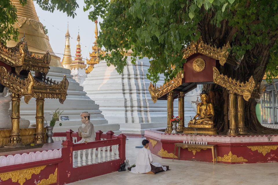 A man kneels in prayer before a golden Buddha shrine among white and gold stupas.
